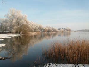 Beetzsee im Winter