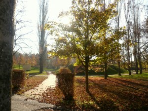 Herbst 3 KIEZ